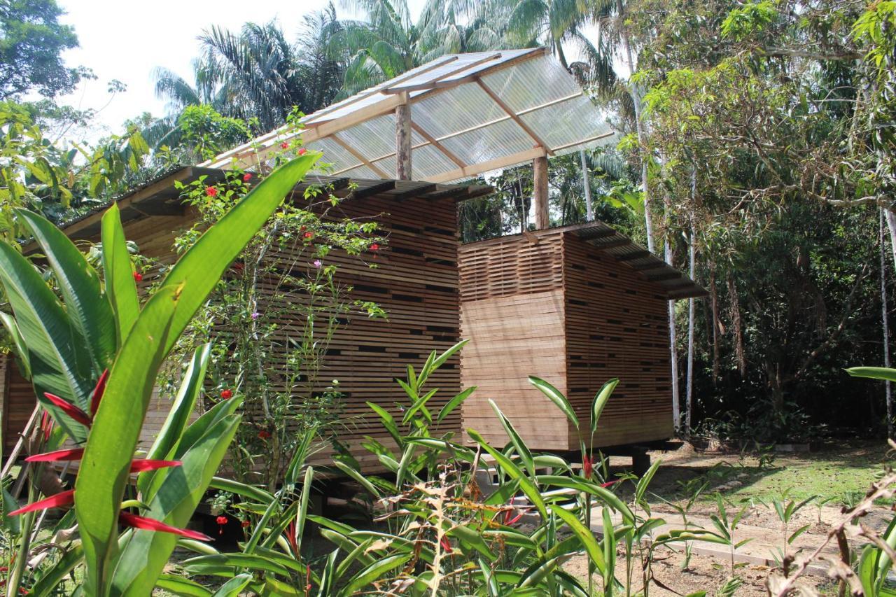 Palmayacu - Refugio Amazónico Leticia Exterior foto
