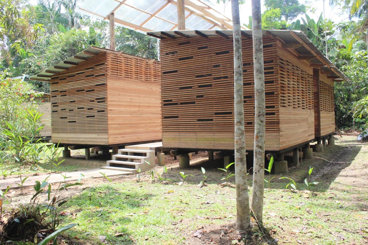 Palmayacu - Refugio Amazónico Leticia Exterior foto